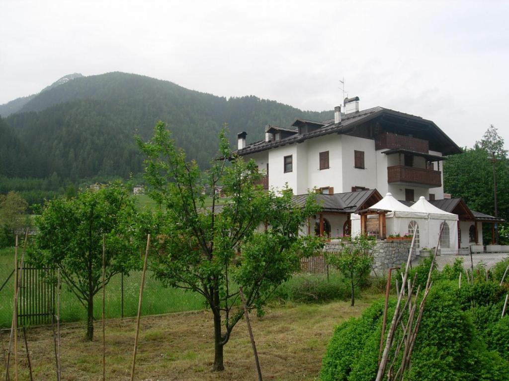 Příroda nedaleko hotelu