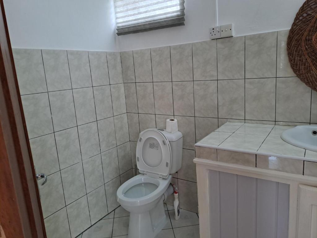 a bathroom with a toilet and a sink at Labour Villa in Mahébourg
