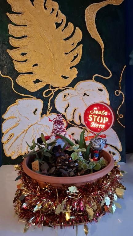 科莫Casa Andrea Lake Como的桌子上放着一个装有盆栽植物的碗