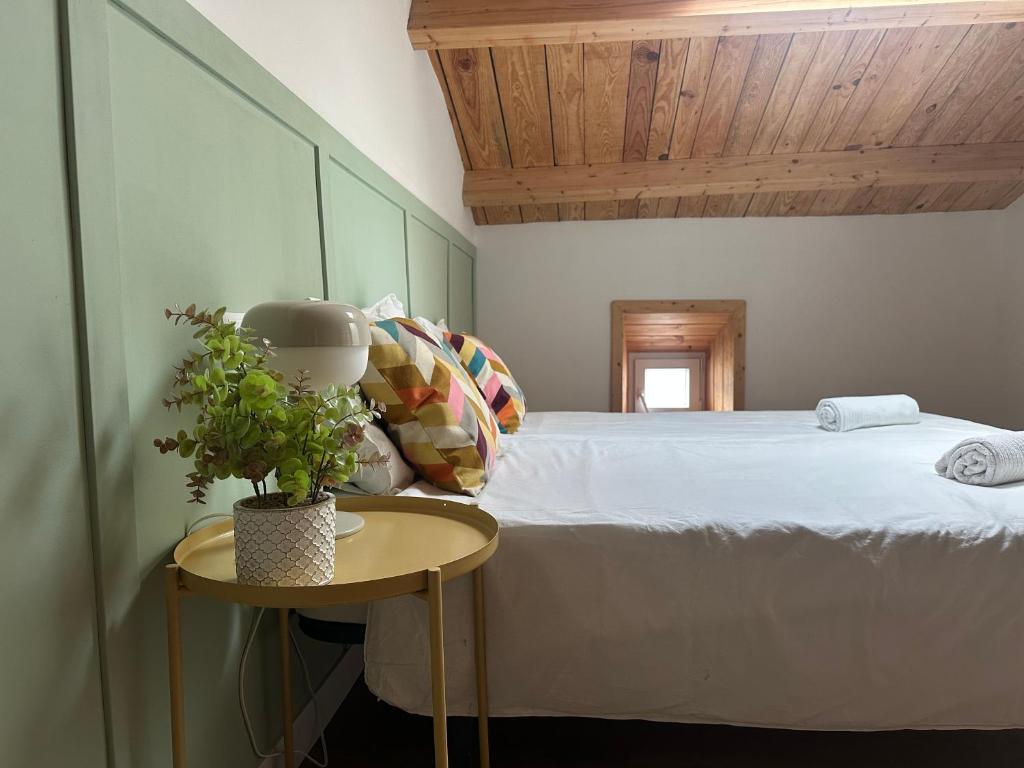 a bedroom with a bed and a table with a plant at A Casiña da Ponte in Lugo