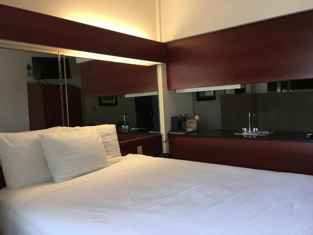 Microtel Inn & Suites by Wyndham Indianapolis Airport - Deluxe Queen Suite - Non-fumeur