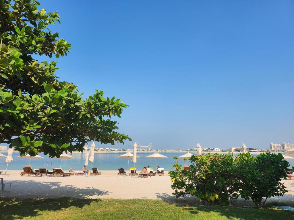 King size suite golden sunset stay with sauna exclusive beachfront tennis court Swimming pool with control of temperature 24h Gym