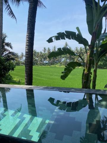 Soma Beach House - Villa - Front De Mer