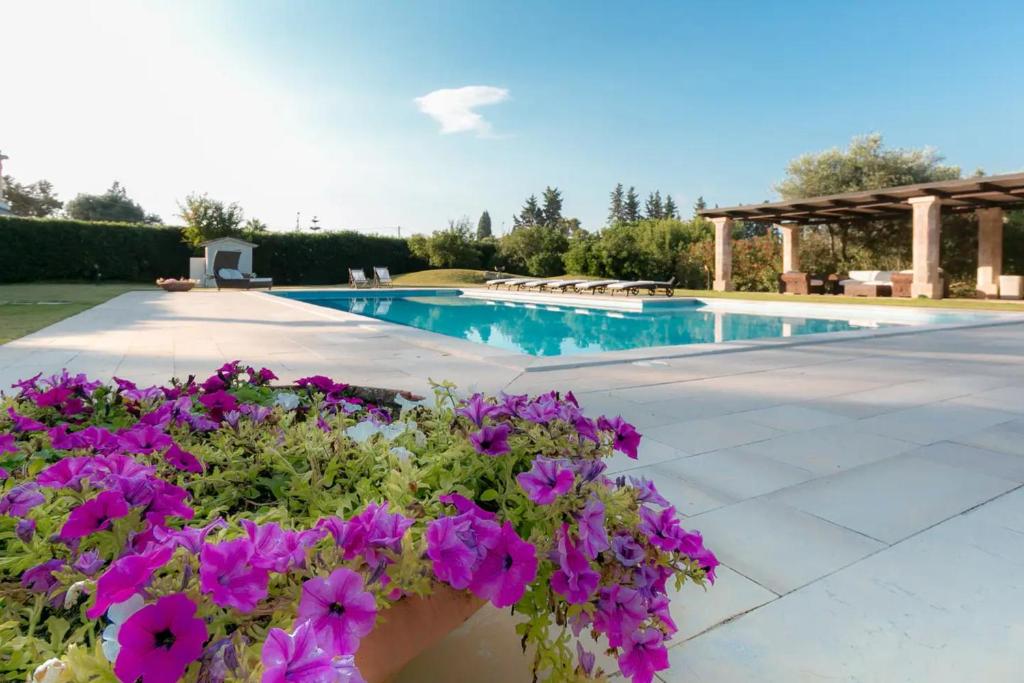 a pool with purple flowers in a planter next to it at Villa Riggia in Nardò