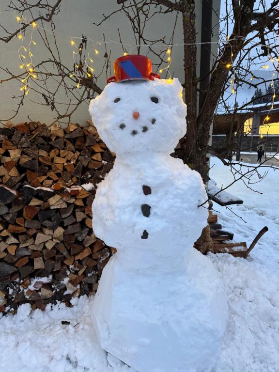 Ferienwohnung Saunahaus - 3