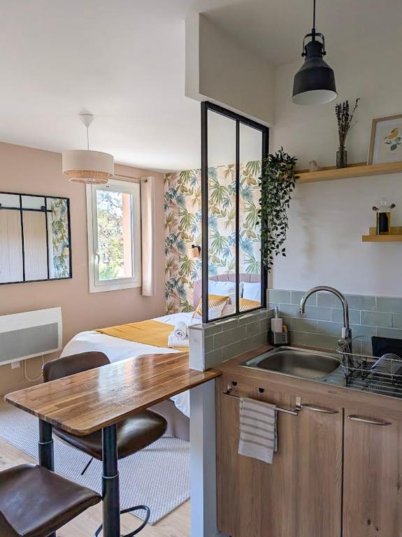 eine Küche mit einem Waschbecken und ein Schlafzimmer mit einem Bett in der Unterkunft Le Colibri - studio paisible et raffiné au sud d'Aix in Aix-en-Provence