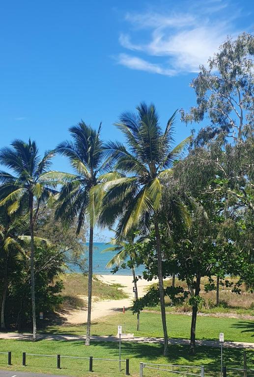 a group of palm trees on a beach at Palmview Escape in Yorkeys Knob