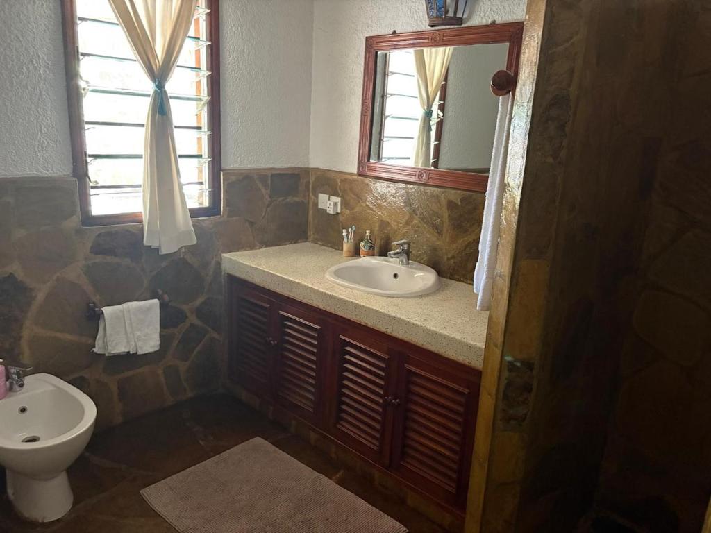 Villa Peponi Royale Watamu في واتامو: حمام مع حوض ومرحاض ومرآة