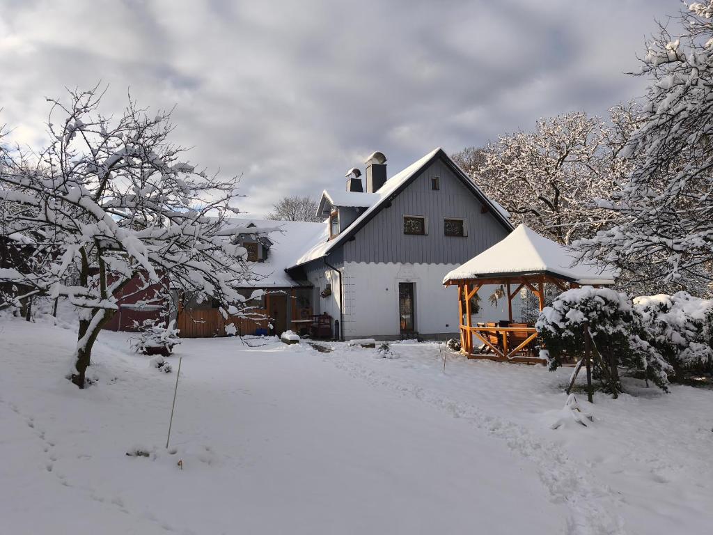 U ovečky trong mùa đông