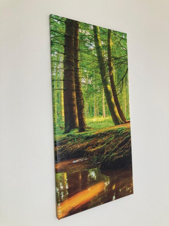 Φυσικό τοπίο κοντά σε αυτό το διαμέρισμα