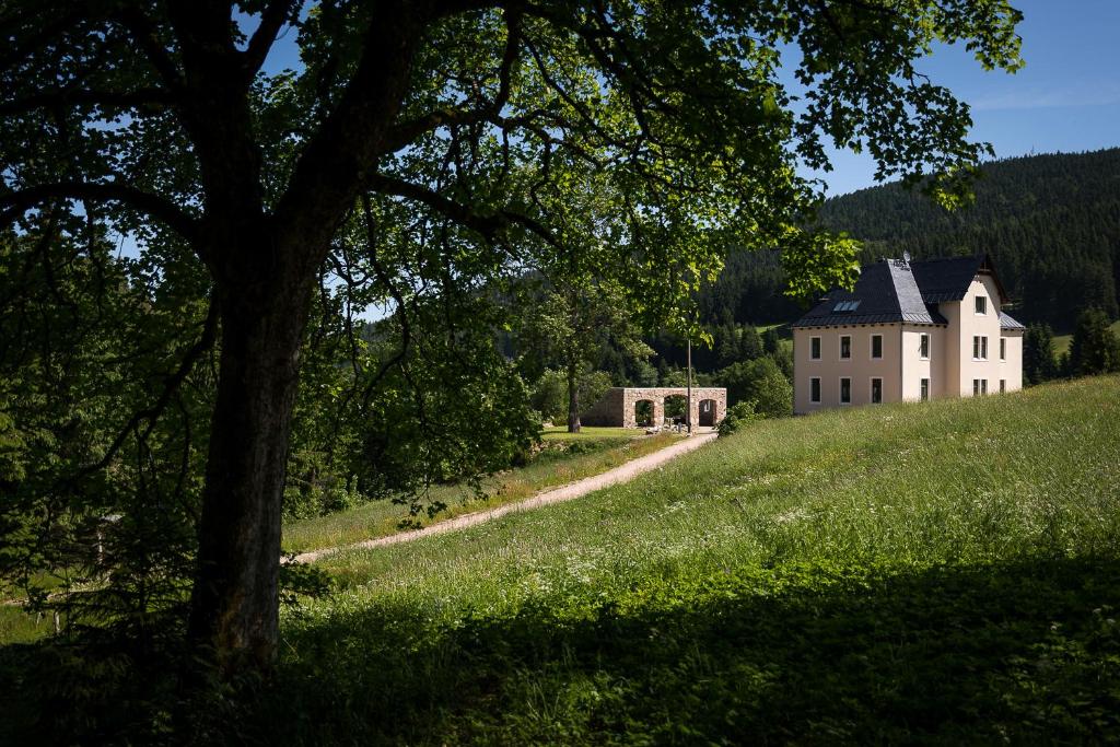 ein großes weißes Haus auf einem Hügel mit einem Baum in der Unterkunft Alte Försterei Wildenthal in Eibenstock