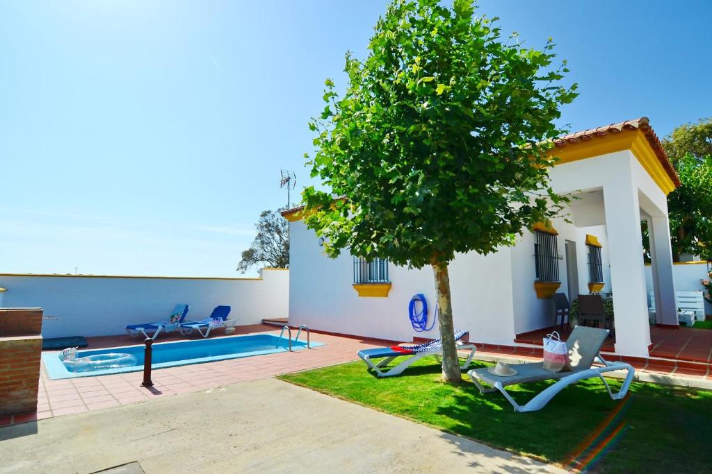 a house with a tree and a swimming pool at Chalet Chaparrillo Conil Rentals in Conil de la Frontera