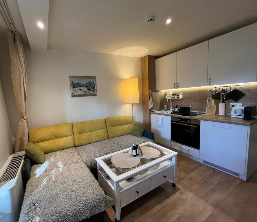 ein Wohnzimmer mit Couch und Küche in der Unterkunft Chamkoria Forest View & Spa Apartment in Borowez