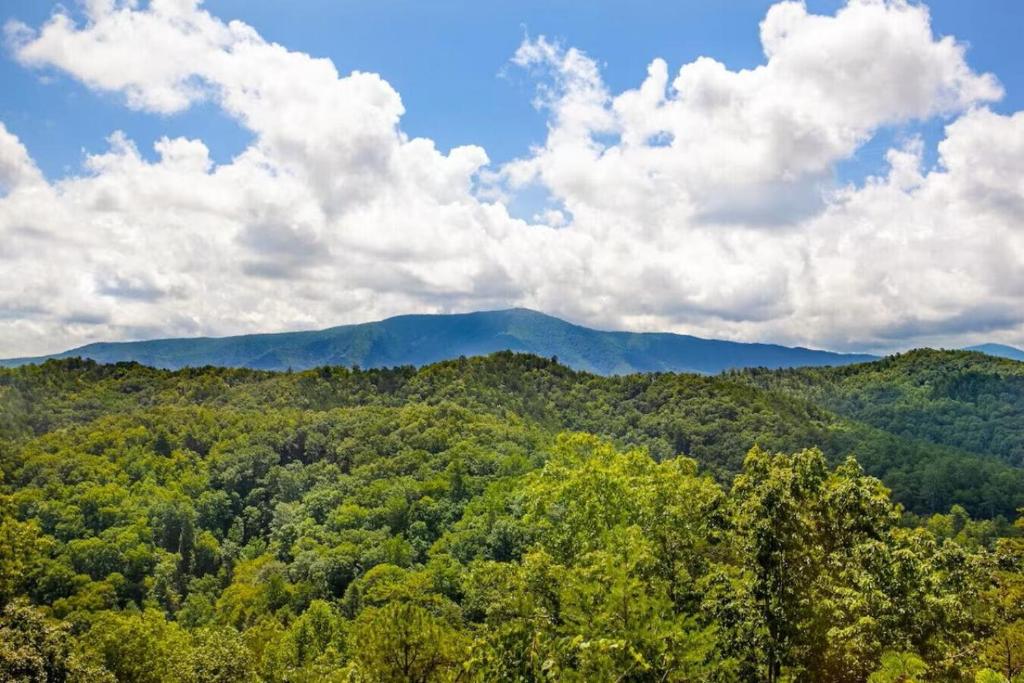 Naturlandskabet i nærheden af feriehuset