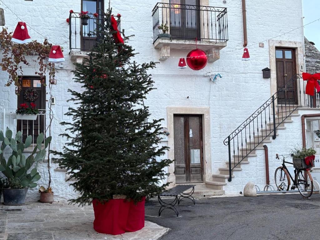 a christmas tree in a pot in front of a building at Trullo La Visita Meravigliosa in Alberobello