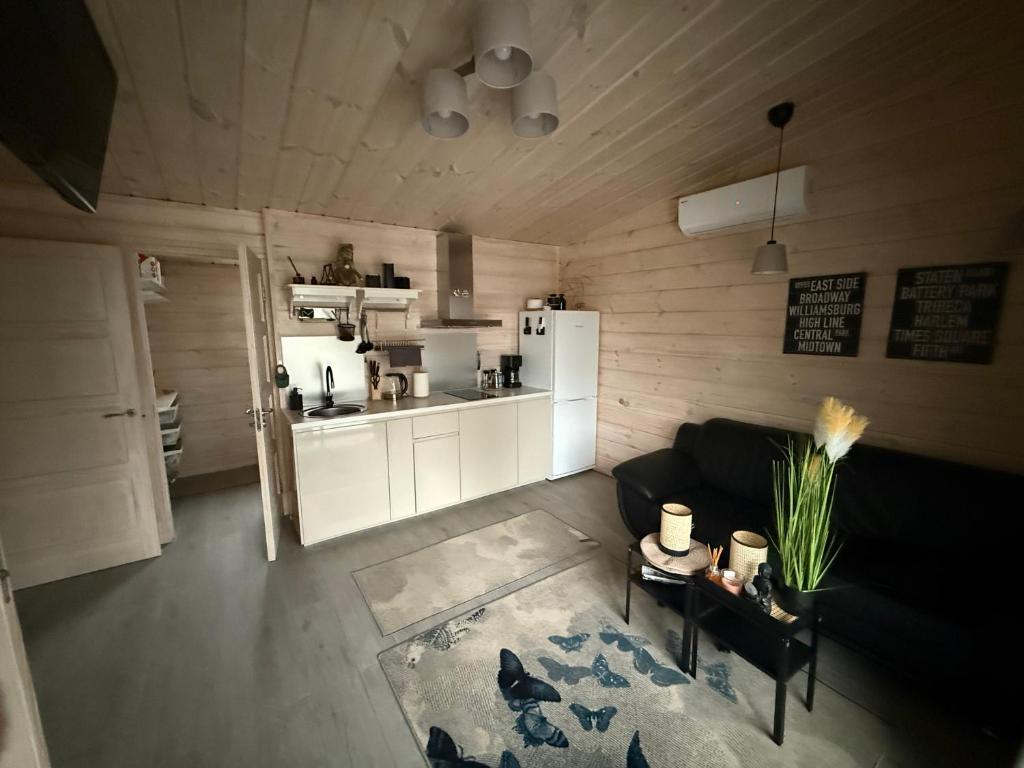 GaylyunayObuoliu Sala COZY HOUSE on the Apple Island的客厅里有一张沙发和一个厨房