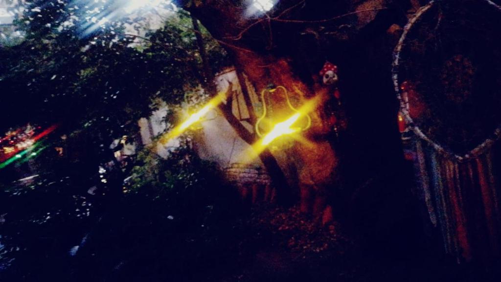 Φωτογραφία από το άλμπουμ του Casa martinez σε Martinez