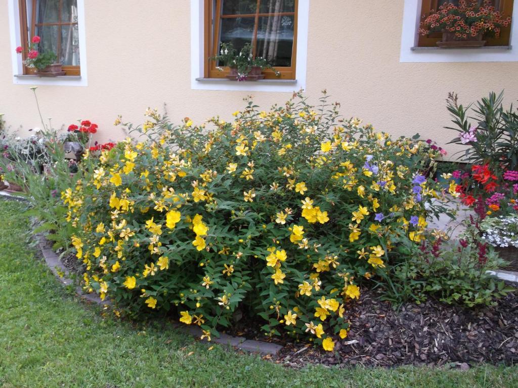 Giardino di Haus Margit