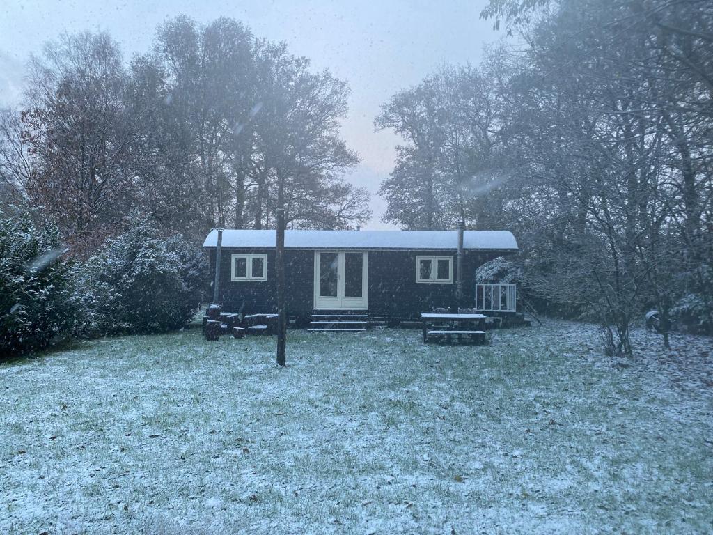 Pipowagen in Drenthe aan het Dwingelderveld v zimě