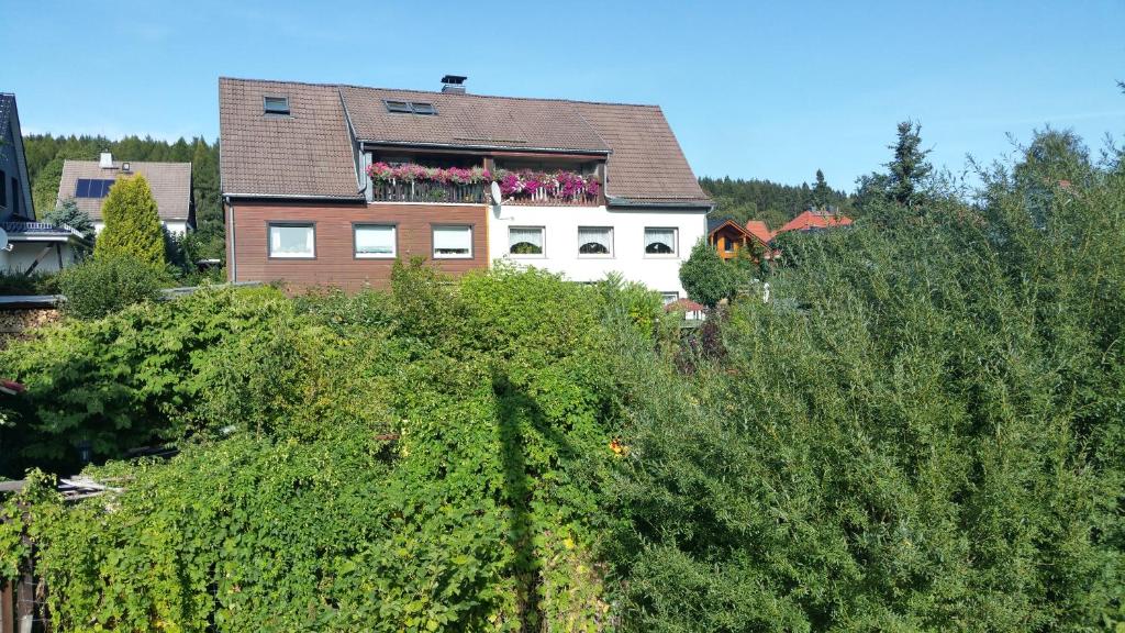 uma casa com uma varanda com flores em Apartment Bodeweg em Schierke