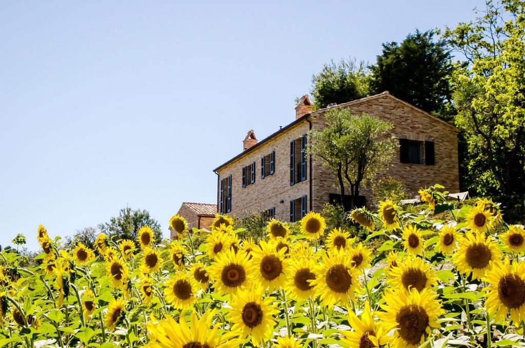 un campo de girasoles frente a un edificio en CasaVostra - Ambience Suites, en Ostra Vetere