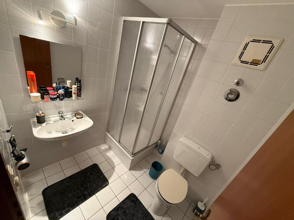 ein Badezimmer mit Dusche, Toilette und Waschbecken in der Unterkunft 2 Soul Appart in Dresden