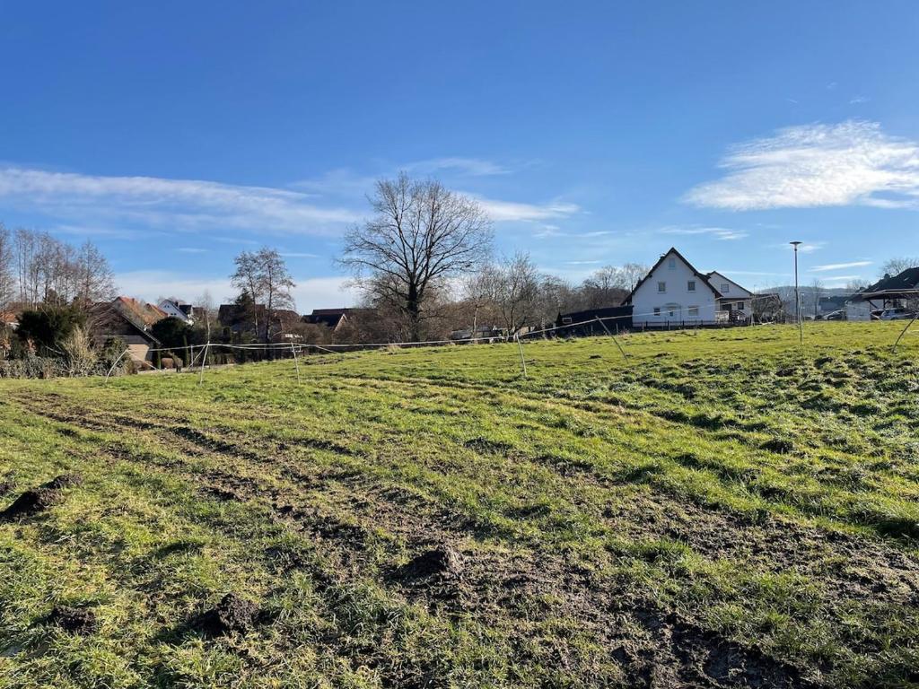 埃克斯特塔尔Möbliertes Wohnen auf Zeit im Extertal的一片草场,后面有白色的房子