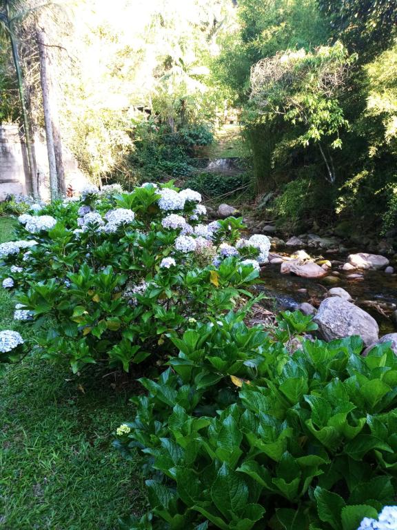 a garden with blue flowers and a creek at Bangalo a beira do rio em plena natureza in Petrópolis
