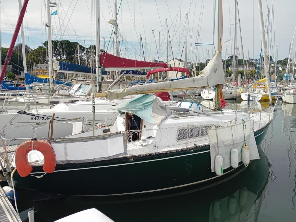 a boat docked in a marina with other boats at Voilier au Port de Perros-Guirec in Perros-Guirec