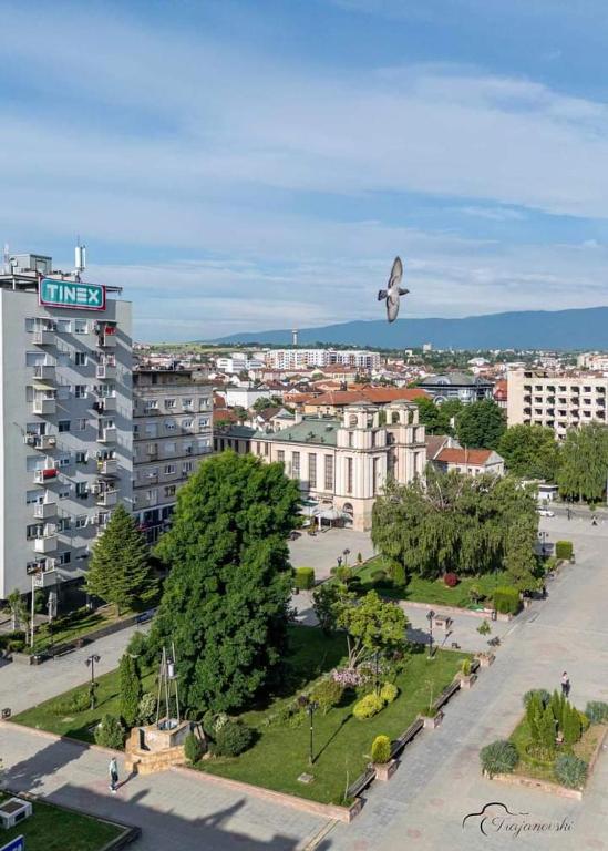 a bird flying over a park in a city at Kumanovo Square in Kumanovo