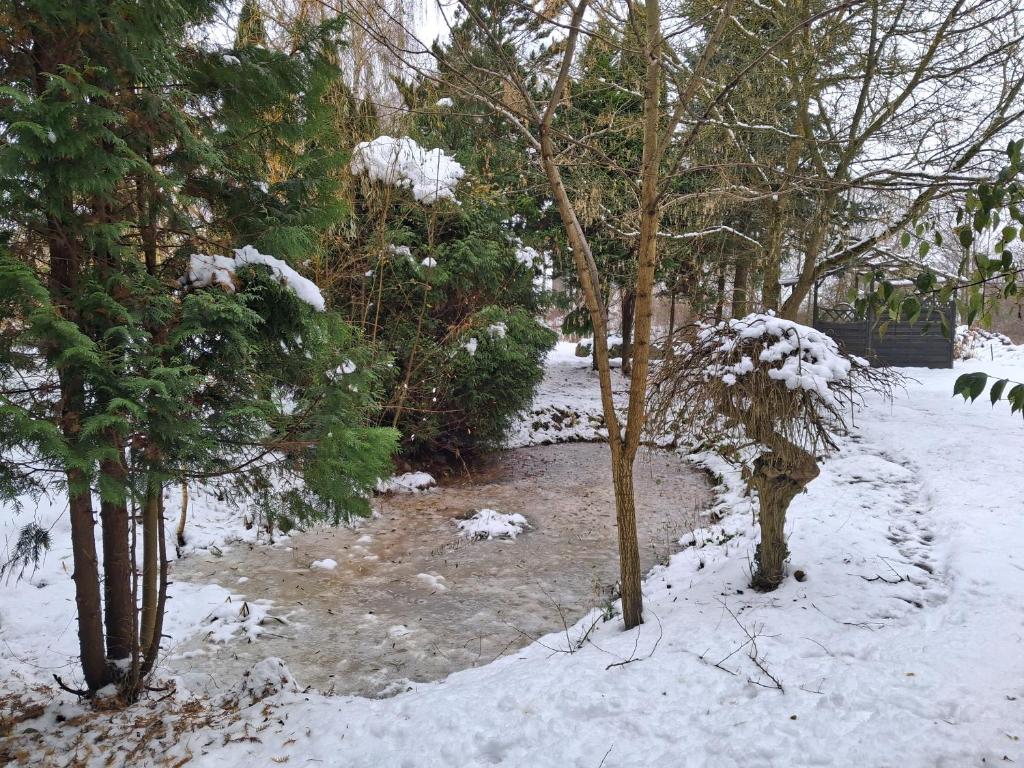 een tuin bedekt met sneeuw met bomen en struiken bij Relaks w boberkach Prywatna sala do Bilarda in Bobrowiec