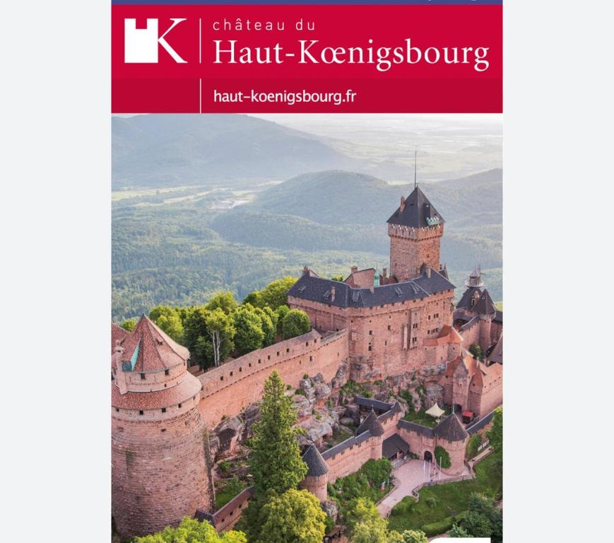 a book cover of honk kerkhofhof castles at Apartment Ebersheim France in Ebersheim