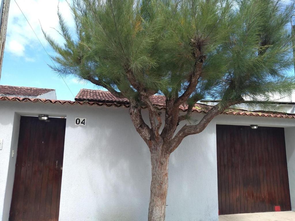 Eine Kiefer vor einem Gebäude mit zwei Türen in der Unterkunft Home Confort in Garanhuns