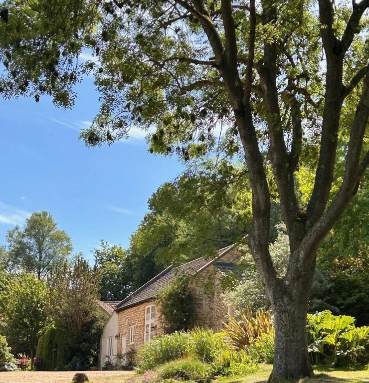 a large tree in front of a brick building at The Stable at Woodhouse Farm in Montacute