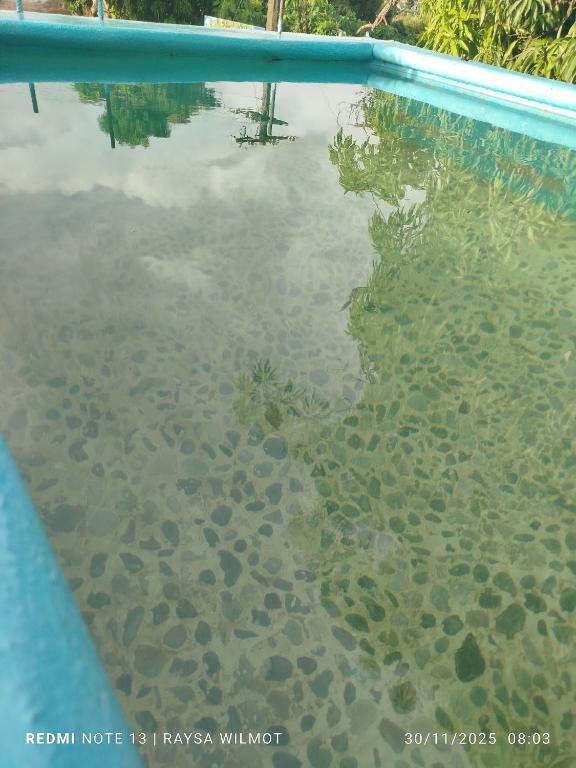 ein Wasserbecken mit Steinen im Wasser in der Unterkunft Parador tropical in Las Galeras