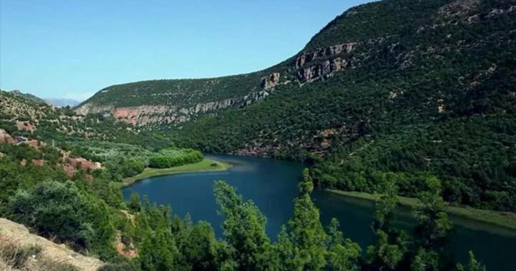 Naturlandskabet i nærheden af lejligheden