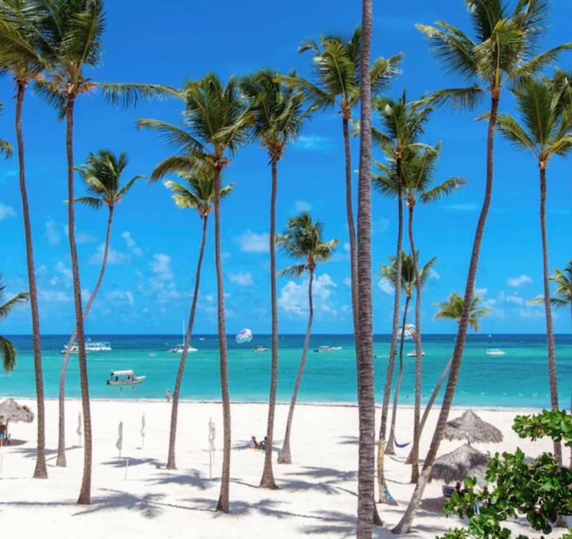 Φυσικό τοπίο κοντά σε αυτό το διαμέρισμα