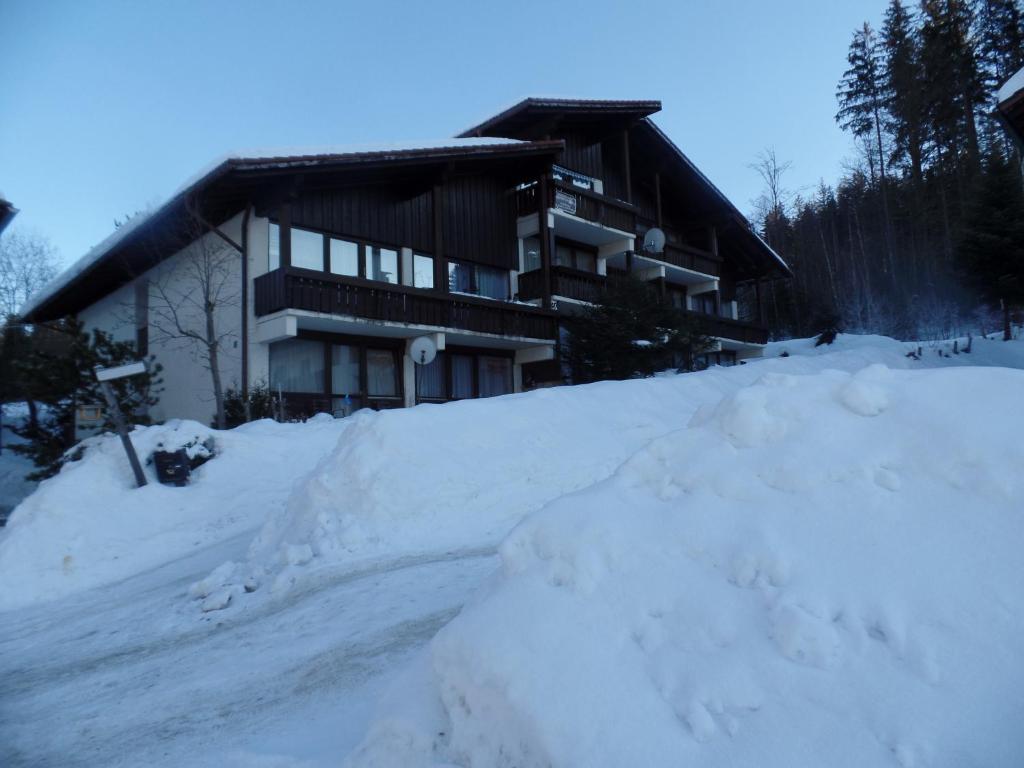 拜尔里舍艾森施泰恩Am Waldrand的房子前面的一堆雪