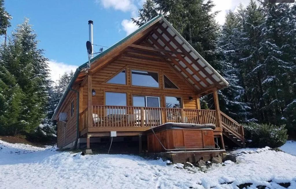 Το Mountain View Cabin, Hot Tub at White Pass Resort, Mt Rainier τον χειμώνα