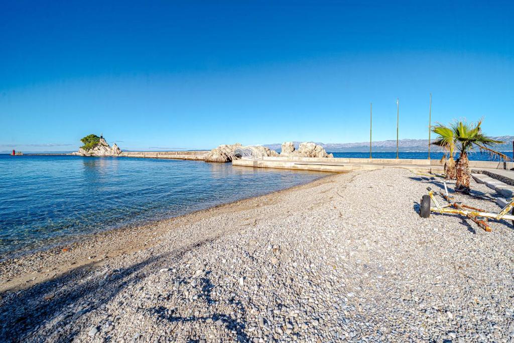 a beach with palm trees and the water at Apartments with parking space Trpanj, Peljesac - 257 in Trpanj