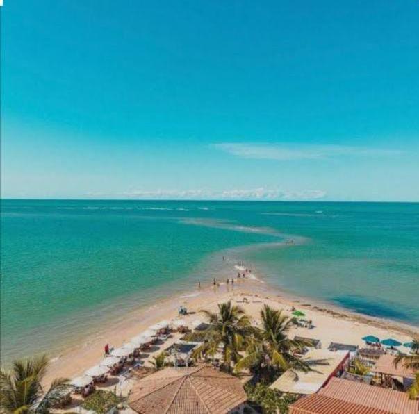 a view of a beach with palm trees and the ocean at Residencial céu aberto in Porto Seguro