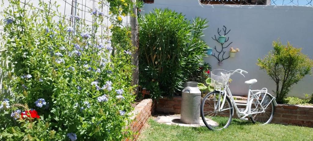 a bike parked in the grass next to a garden at El retamo - Casa Turística in San Rafael