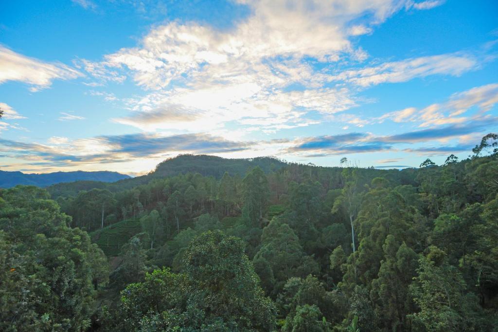 una vista aerea di una foresta di alberi sotto un cielo nuvoloso di Ivory Canopy Resort - Ella a Ella