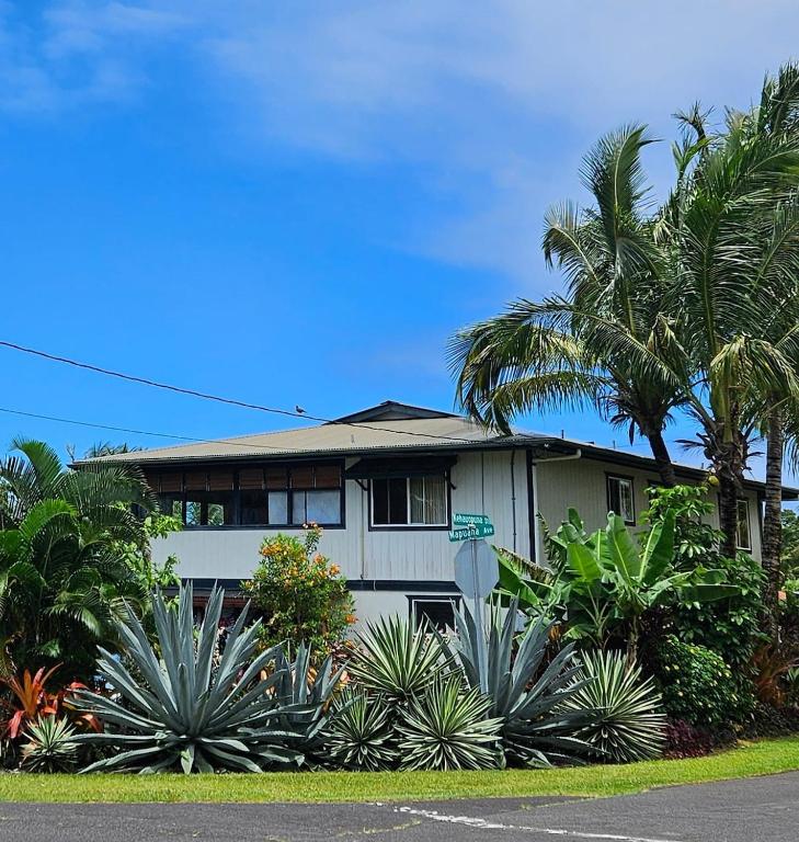 a house with palm trees in front of it at Hale Mapuana in Pahoa