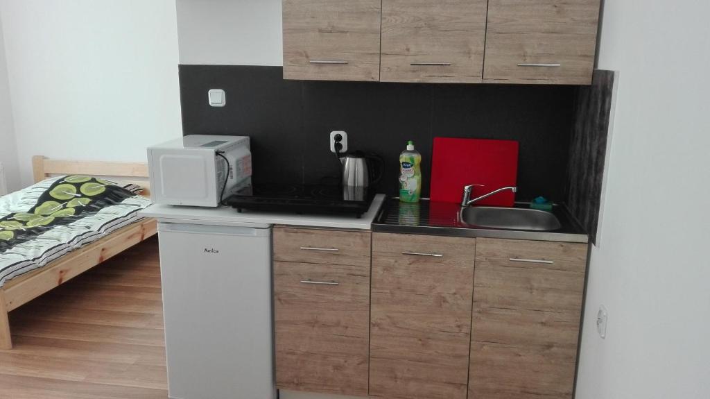 Kuchyň nebo kuchyňský kout v ubytování Pokoje Typu Studio Sosnowiec