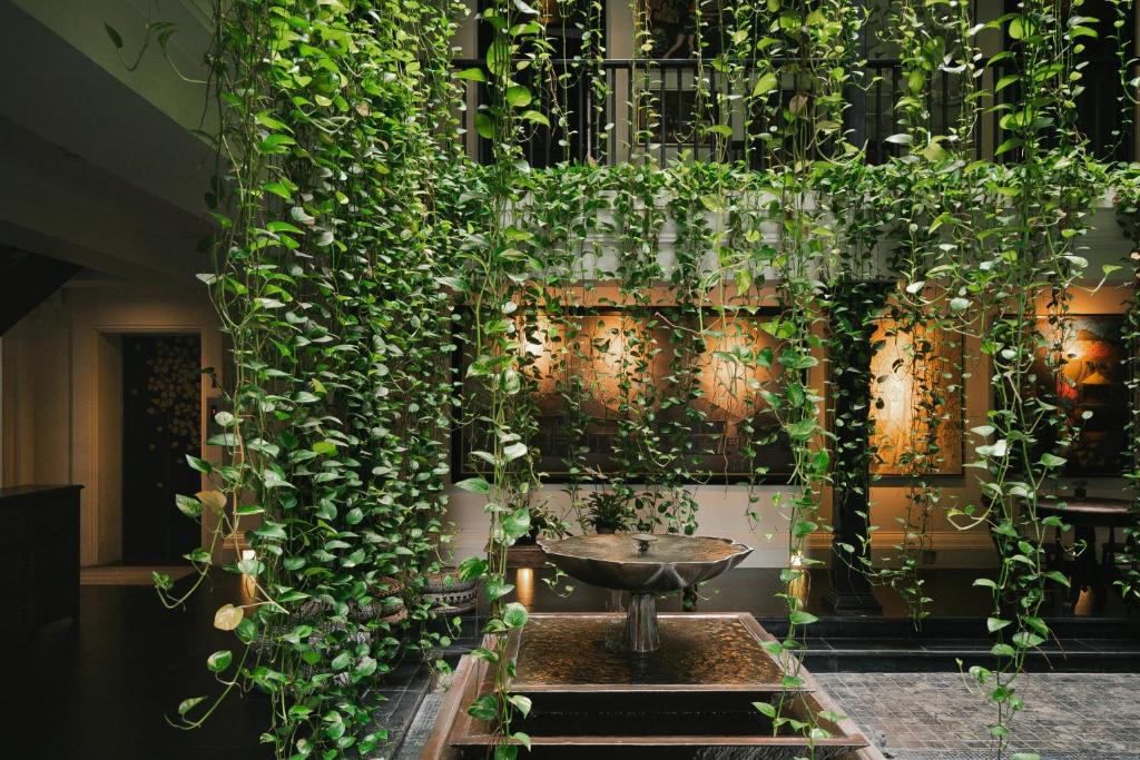 Κήπος έξω από το Makkachiva