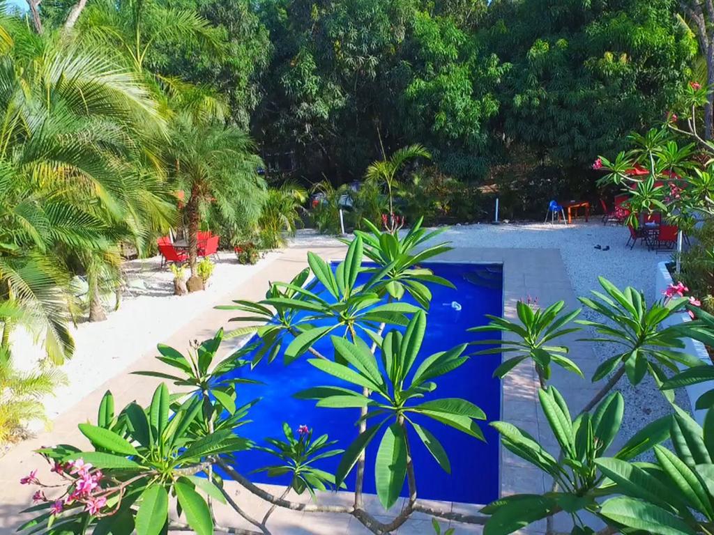 une piscine bleue avec des palmiers et une plage dans l'établissement Blanconejo de Montezuma, à Montezuma