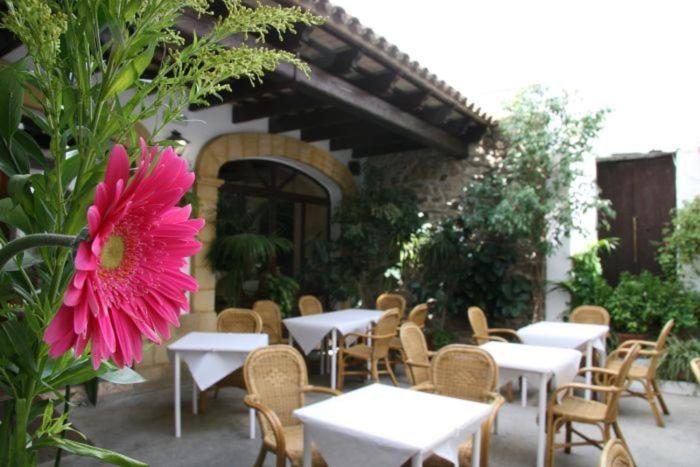 a bunch of tables and chairs and a pink flower at Hostal Torre de Guzmán in Conil de la Frontera