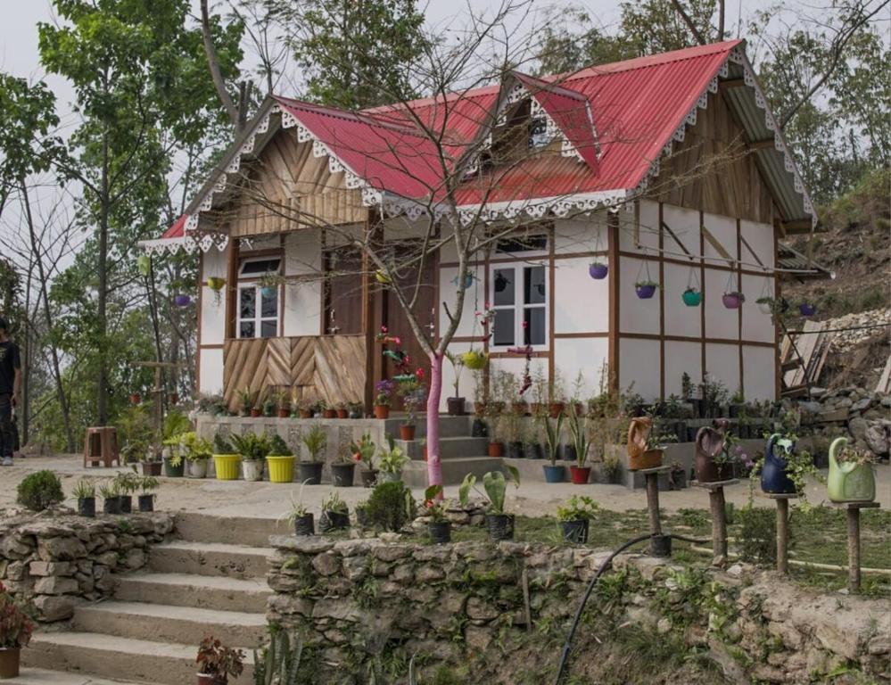 Zahrada ubytování Shaanstay