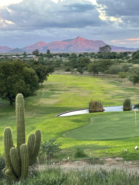 a view of a golf course with a cactus at Cozy and Comfy in Graaff-Reinet